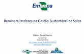 Remineralizadores na Gestão Sustentável de Solos · Remineralizadores na Gestão Sustentável de Solos Eder de Souza Martins Agrogeólogo (061)99209-8726 ... •Potencial dos remineralizadores