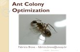 Ant Colony Optimization - Fabricio Breve · Ant Colony Optimization A escolha do caminho mais curto permite que as formigas minimizem o tempo gasto na viagem entre o ninho e a fonte
