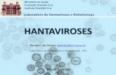 HANTAVIROSES - 10minutossalvamvidas.rj.gov.br · Evidence of Hantavirus Infection Among Bats in Brazil. Am J Trop Med Hyg. 2015 Jun 15. pii: 15-0032. Sabino-Santos G Jr1, 2Gonçalves