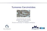 Tumores Carcinóidesrepositorio.hospitaldebraga.pt/bitstream/10400.23/259/1/Tumores... · 3 - Dousset B, Saint-Marc O, Pitre J et al. Metastatic endocrine tumors: medical treatment,