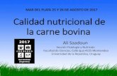 Sistemas de producción y calidad nutricional de la …cvpba.org/.../2017/10/BromatologiaSaadounCarneBobina.pdfdemanda que la carne y los productos cárnicos tengan alta calidad, flavor