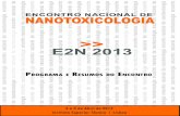 >> E2N 2013 · A nanotenologia irá permitir o desenvolvimento de novos materiais e produtos com diferentes propriedades, tais como componentes nanoelectrónicos, novos tipos de medicina,