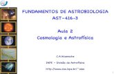 FUNDAMENTOS DE ASTROBIOLOGIA AST–416-3 Aula 2 …das.inpe.br/~alex/Ensino/cursos/astrobiologia/Astrobio-Aula2.pdf · Aula 2 Cosmologia e Astrofísica ... p 2 >>1, os grandes agregados
