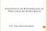 Prof . Esp. Cidiane Rodrigues · 2020-04-12 · Cuidados com o recém-nascido; Importância da realização da triagem neonatal (teste do pezinho) na primeira semana de vida do recém-nascido;