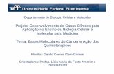 Projeto: Desenvolvimento de Casos Cl ínicos para Aplica ...gcm.uff.br/wp-content/uploads/sites/95/2017/02/cancer.pdf · Tema: Bases Moleculares do Câncer e Ação dos Quimioter