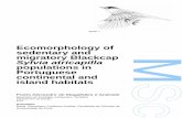 Ecomorphology of sedentary and migratory Blackcap Sylvia ...repositorio-aberto.up.pt/bitstream/10216/71146/2/24547.pdfNo presente trabalho estudamos indivíduos da Toutinegra-de-barrete