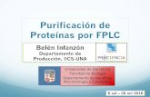 Purificación de Proteínas por FPLC · 2019-05-08 · de histidinas (His-tag) en el C-terminal. En el marco del trabajo de maestría, los plásmidos ya fueron verificados por secuenciación