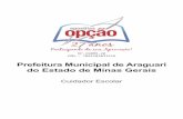 Prefeitura Municipal de Araguari do Estado de Minas Gerais · tipos de leitura: uma leitura prévia, uma leitura seletiva, uma leitura analítica e, por fim, uma leitura interpretativa.