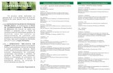 folder melancia 9 - Embrapa · 2012-09-04 · Palestra: Avaliação da resistência a viroses em populações- ... na produção e comercialização da melancia. Comissão Organizadora.