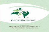 RESUMO EXECUTIVO Desafios e potencialidades do ......O Seminário Pan-Amazônico de Proteção Social terminou com o acordo entre os países e instituições parceiras para realizar