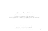 Curriculum Vitae · 2020-01-06 · Luís Filipe Lobo-Fernandes). Mestrado em Ciência Política e Relações Internacionais, pela Universidade Católica Portuguesa, aprovado por unanimidade