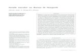Estudo macular na doença de Stargardt - SciELO · 2008-04-17 · Estudo macular na doença de Stargardt 9 Arq Bras Oftalmol. 2008;71(1):7-12 da doença de Stargardt (44 olhos), com