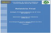 Relatório Final – Ana Margarida Silva - 2008017...Ana Margarida Cunha e Sousa Ribeiro da Silva Aluna nº 2008017 Turma 8 Relatório Final – Ana Margarida Silva - 2008017 2013/2014