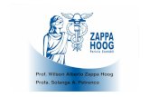 Prof. Wilson Alberto Zappa Hoog BUSCAR NOVOS HORIZONTES É ...zappahoog.com.br/downloads/Palestra Espirito Santo 30.out-10.pdf · 2009 001217 NBC TA 500 - Evidência de Auditoria.
