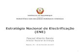 Estratégia Nacional de Electrificação (ENE) · Eléctrica Nacional e através de Sistemas Isolados, que toma em ... 4. Aspectos Institucionais Aspectos de carácter legal e do