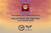  · 2019-12-12 · MINISTÉRIO DA DEFESA COMANDO DA AERONÁUTICA ESTADO-MAIOR DA AERONÁUTICA PRESTAÇÃO DE CONTAS ORDINÁRIA ANUAL RELATÓRIO …