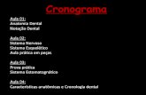 Cronograma - BD Clínica Odontológica · Os dentes permanentes são maiores e mais largos em comparação aos decíduos; Por isso, a falta de espaço para os dentes permanentes é