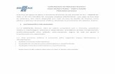 COMUNICADO DE PROCESSO SELETIVO VAGA TÉCNICO PLENO …sistemas.sebrae-rs.com.br/TrabalheConosco/Docs/430.1_Comunicad… · Missão do SEBRAE/RS Promover a competitividade e o desenvolvimento