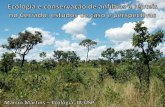  · Estado de conservação dos anfíbios e répteis do Cerrado Anfisbenas (nenhuma) Amphisbaena arda Rodrigues, 2003 Amphisbaena frontal's Vanzo ini, 1991 Amphisbaena nigricauda