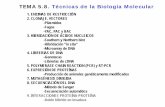 TEMA 5.8. Técnicas de la Biología Molecularumh1163.edu.umh.es/.../2018/02/Tema-5.8.-Técnicas-Biologia-Molec… · Técnicas de la Biología Molecular . 1. ENZIMAS DE RESTRICCIÓN