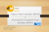 Digital Object Identifier (DOI) e - IAU - Instituto de ...científicas digitais, tais como, artigos, resumos, livros, capítulo de livros, anais, teses, normas, entre outros; •O
