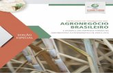 MERCADO DE TRABALHO DO AGRONEGÓCIO …...agrícola, destacando-se o efeito do avan-ço rápido da mecanização. O número de empregos formais na cultura canavieira em 2016 representou