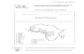ibAF iL' kU DPADAMDA '4 y* Relatório técnico N° 46 Junho de 1993 Revista sectorial da pese artesanal na Guin-Bissau FAO LIBRARY AN: 347071 DIPA-PtOGRAMME LOUR LE DÉVELOPPEMENT