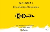 BIOLOGIA I Envoltórios Celulares · Envoltórios Celulares. Prof.: Anderson Marques de Souza Juiz de Fora_2020 BIOLOGIA I Envoltórios Celulares 1ª SÉRIE. LIVRO 1. PÁGINAS 401
