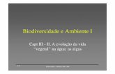 Biodiversidade e Ambiente Imaloucao/Aula 6BA.pdf · das bactérias e do ﬁtoplancton Emissão de ﬂuorescência. 10-05 Biodiversidade e Ambiente I 2005 - 2006 Produtividade Verão