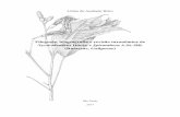Filogenia, biogeografia e revisão taxonômica de ......Lilian de Andrade Brito Filogenia, biogeografia e revisão taxonômica de Nycticalanthus Ducke e Spiranthera A.St.-Hil. (Rutaceae,