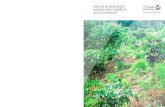 Cartilha de Restauração Florestal para a região de Alto Teles Pires … · 2020-03-05 · Permanentes (APP) e regularização das áreas de Reserva Legal (RL). No entanto, o custo,