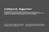 Liliana AguiarLiliana Aguiar liliana.aguiar.museu@gmail.com | liliana.aguiar@cm-maia.pt Avaliação de projetos de mediação patrimonial em uµ µ WK } } }i }^s Ud} ^ v ] D]_ } Museu