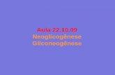Aula 22.10.09 Neoglicogênese Gliconeogênese · Gliconeogênese –mitocôndria 1º passo: carboxilação do piruvato na mitocôndria (pela piruvato carboxilase) • Reação irreversível