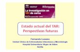 F. Lozano Cádiz 21.06.2011 · 15años de TAR potente o de gran eficacia (TARGA) [1996] VIH TAR TARGA 1981 1987 1996 2011. Evolución de los parámetros de la infección por el VIH