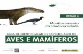 GUIA DE IDENTIFICAÇÃO DE ESPÉCIES ALVO DE AVES E …€¦ · O Programa de Monitoramento da Biodiversidade em UCs realizado em ambientes florestais nos biomas Mata Atlântica,