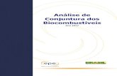 Análise de Conjuntua dos Biocombustíveis · A EPE apresenta sua quarta Análise de Conjuntura dos Biocombustíveis, com os fatos mais relevantes ocorridos no ano de 2012. Os principais