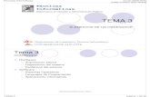 Técnicas Informáticas Curso 2009-2010 (c)Maximiliano Saiz ...rua.ua.es/dspace/bitstream/10045/11661/1/TI0910_TEMA3.pdf · dispositivos en forma de tarjeta de expansión. zAlgunos