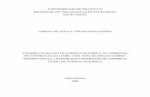 UNIVERSIDADE DE SÃO PAULO PROGRAMA DE PÓS … · 2011-06-21 · Institucional (NEI), notadamente a abordagem da Economia dos Custos de Transação e ... 140pages. Dissertation (Master
