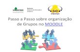 Passo a Passo sobre organização de Grupos no MOODLE · 2018-08-14 · 3. Criação de grupos Essa ferramenta serve para o professor realizar atividades em grupos na sua disciplina/curso.
