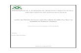 ESCOLA SUPERIOR DE DESENVOLVIMENTO RURAL …monografias.uem.mz/bitstream/123456789/1379/1/2016... · Estudo dos Métodos de Conservação Pós-colheita do milho (Zea Mays) na localidade