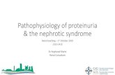 Pathophysiology of proteinuria & the nephrotic syndrome...Focal and segmental glomerulosclerosis (FSGS) can cause nephrotic syndrome in adults. Those with other types of FSGS can progress