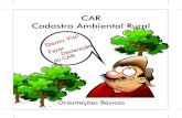 Fazer Declaração do CAR · 2019-05-09 · CADASTRO AMBIENTAL RURAL – CAR É o registro dos imóveis rurais junto ao órgão competente, por meio da caracterização e georeferenciamento