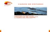 CASOS DE ESTUDIO€¦ · el Instituto SARAS2 y el Centro Regional de Cambio Climático y Toma de Decisiones durante 2017. Estos cuatro casos de estudios fueron desarrollados por expertos