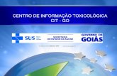 Nome da apresentação - Goiás · Apoio Técnico CIT às RS, municípios, 2011-2015. Teleconsultoria médica: Em média 3500 atendimentos /ano Atividades ... PROGRAMA ACADEMIA DA