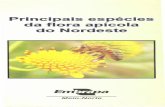 Principais especies da flora apicola do Nordesteainfo.cnptia.embrapa.br/digital/bitstream/item/104133/1/Flora-apicol… · Angico-de-bezerro. Nome vulgar: Angico-de-bezerro. Nome