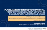 PLANEJAMENTO ENERGÉTICO NACIONAL...Ministério de Minas e Energia 10ª Edição do Fórum Nordeste Oportunidades nos Setores de Biocombustíveis, Etanol e Energias Limpas Recife/PE