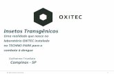 Insetos Transgênicos...© 2014 Oxitec do Brasil 1 Campinas - SP Guilherme Trivellato Insetos Transgênicos Uma realidade que nasce no laboratório OXITEC instalado no TECHNO PARK