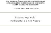 Sistema Agrícola Tradicional do Rio Negro · TRADICIONAL DO RIO NEGRO COMO PATRIMÔNIO DO BRASIL . CURSO “RELEVÂNCIA DOS SABERES E PRÁTICAS DA AGRICULTURA TRADICIONAL DO RIO
