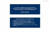 Usando MBA para Modelar Sistemas Sócio-Ecológicos: uma ... · sustentabilidade da exploração do palmito juçara por comunidades quilombolas do Vale do Ribeira, São Paulo. Dissertação