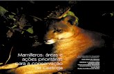 Mamíferos: Æreas e - Embrapaainfo.cnptia.embrapa.br/digital/bitstream/item/18271/1/Caatinga1.pdf · A fauna de mamíferos da caatinga tem sido geralmente reconhecida como depauperada,